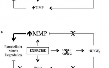 WIR: NSAIDs and Impairment of Tissue Adaptation Post Exercise